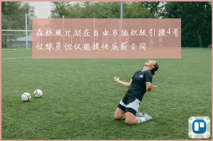 森林狼计划在自由市场积极引援4号位球员但仅能提供底薪合同